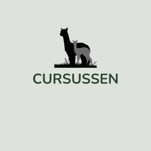 Cursussen