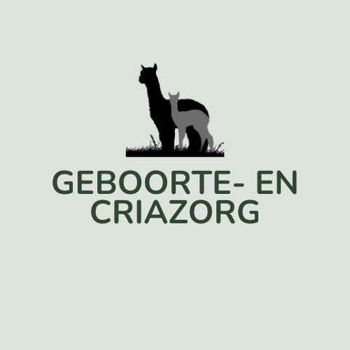 Geboorte- en cria zorg